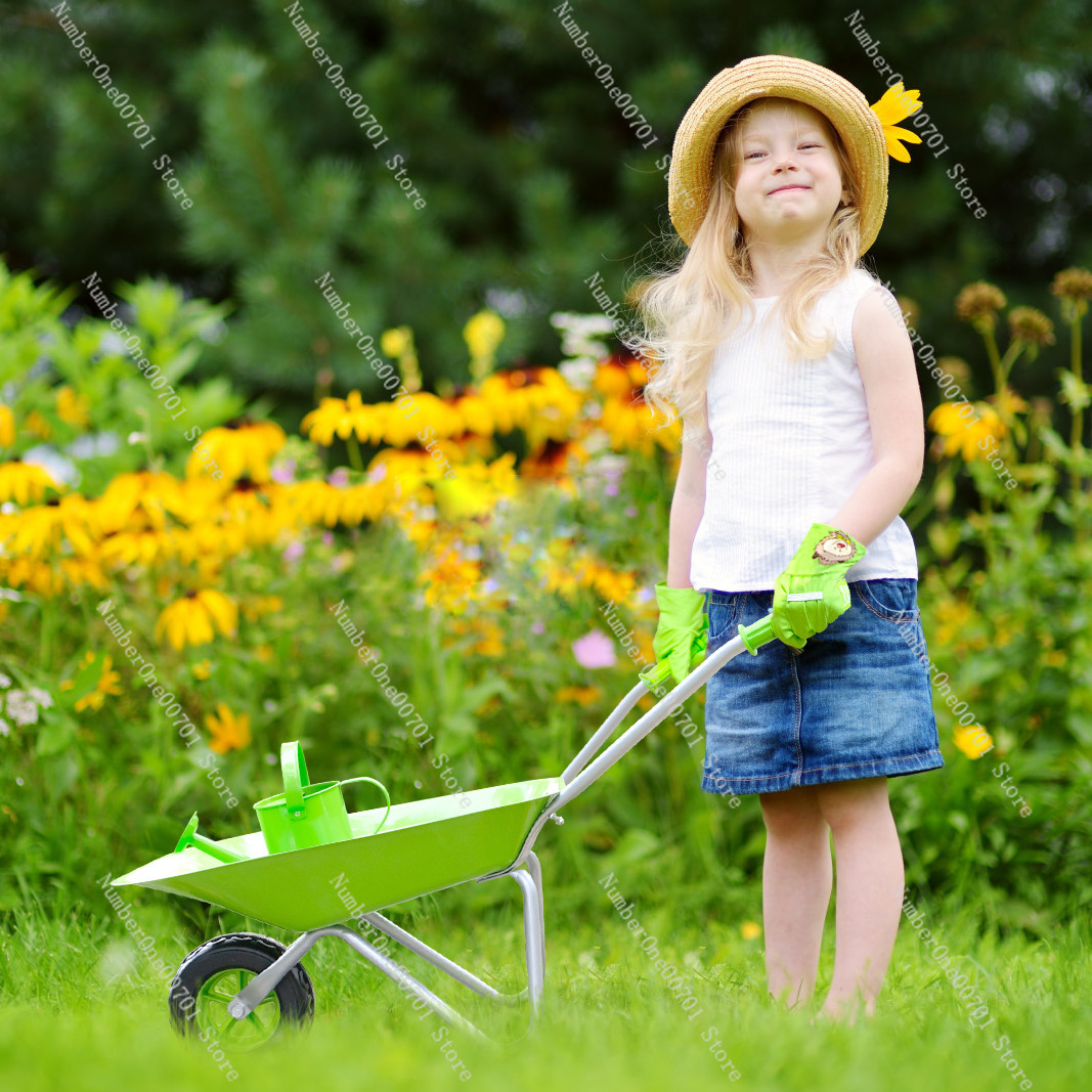 Kinder-Schubkarre für Draußen, – Kids Outdoor Playset Bewertung und Preis